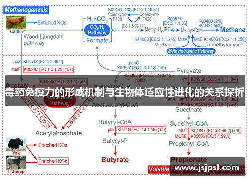 毒药免疫力的形成机制与生物体适应性进化的关系探析